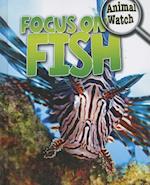 Focus on Fish