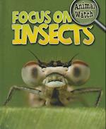 Focus on Insects