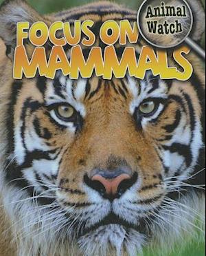 Focus on Mammals