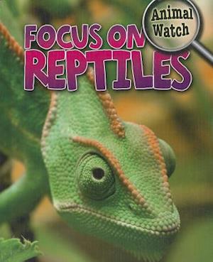 Focus on Reptiles