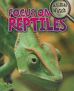 Focus on Reptiles