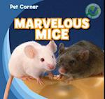 Marvelous Mice