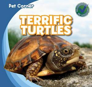 Terrific Turtles