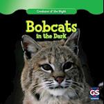 Bobcats in the Dark