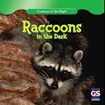 Raccoons in the Dark