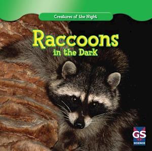 Raccoons in the Dark