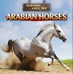 Arabian Horses