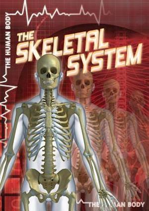 The Skeletal System