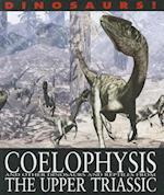 Coelophysis and Other Dinosaurs and Reptiles from the Upper Triassic