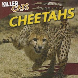 Cheetahs