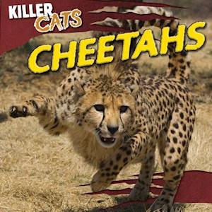 Cheetahs