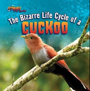 The Bizarre Life Cycle of a Cuckoo