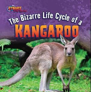 The Bizarre Life Cycle of a Kangaroo