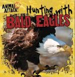 Hunting with Bald Eagles