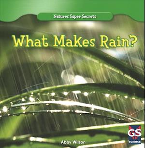 What Makes Rain?