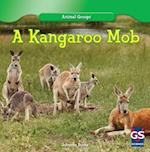 A Kangaroo Mob