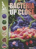 Bacteria Up Close