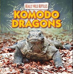 Komodo Dragons