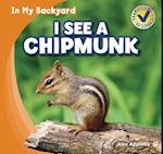 I See a Chipmunk