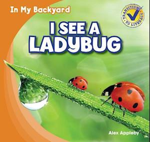 I See a Ladybug