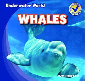 Whales