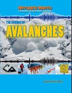 The Science of Avalanches