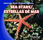 Sea Stars / Estrellas de Mar