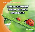 I See a Ladybug / Puedo Ver Una Mariquita