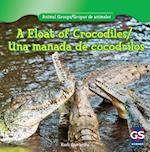 A Float of Crocodiles/Una Manada de Cocodrilos