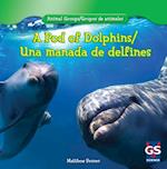 A Pod of Dolphins / Una Manada de Delfines