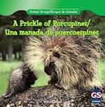 A Prickle of Porcupines/Una Manada de Puercoespines