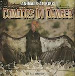 Condors in Danger