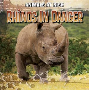 Rhinos in Danger