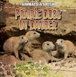 Prairie Dogs in Danger
