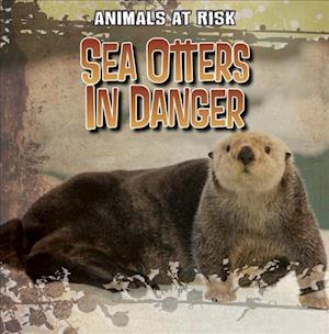 Sea Otters in Danger