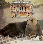 Sea Otters in Danger