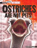 Ostriches Are Not Pets!