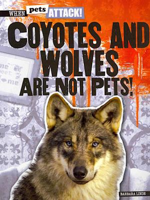 Coyotes and Wolves Are Not Pets!