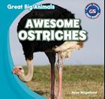 Awesome Ostriches