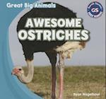 Awesome Ostriches