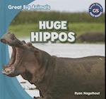 Huge Hippos