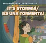 It's Stormy!/Es Una Tormenta!