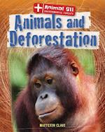Animals and Deforestation