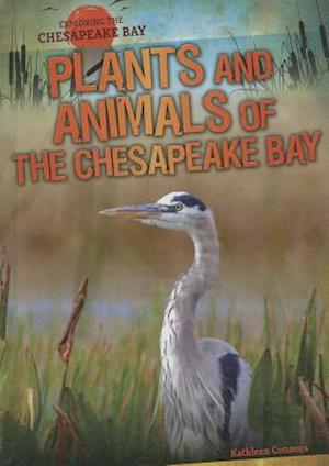 Plants and Animals of the Chesapeake Bay