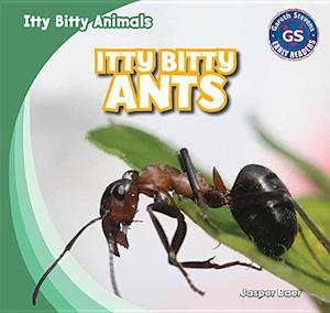 Itty Bitty Ants