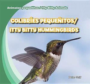 Colibries Pequenitos/Itty Bitty Hummingbirds