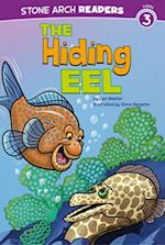 Hiding Eel