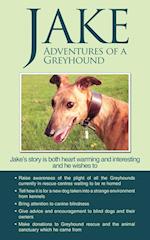 Jake Adventures of a Greyhound