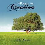 The Forest of Creation