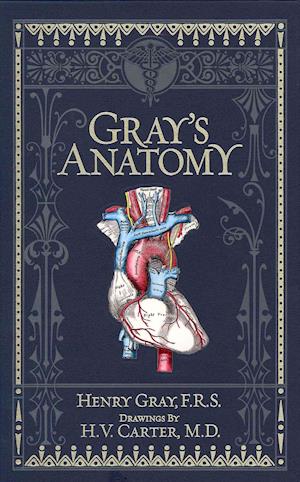 Gray's Anatomy